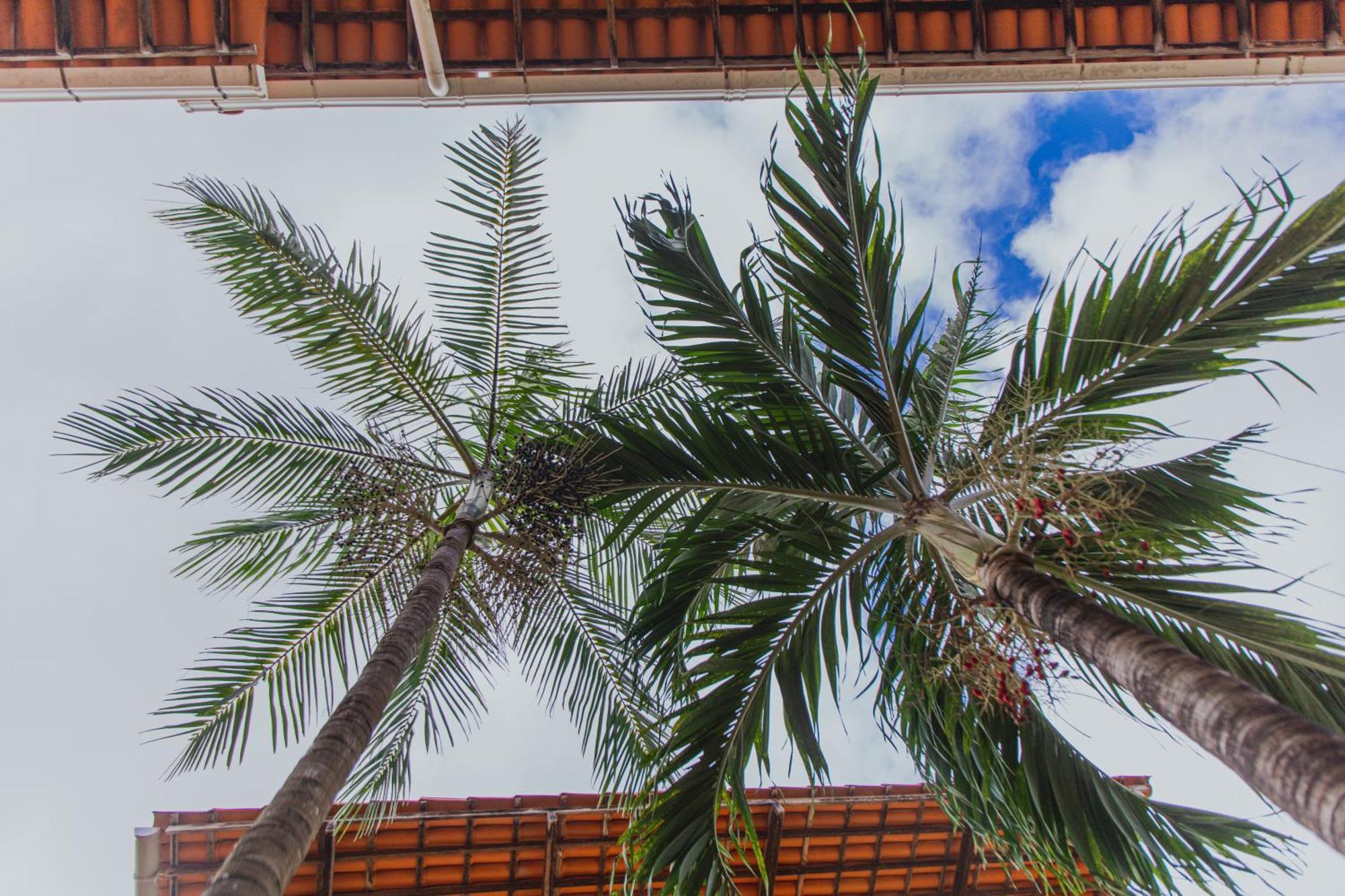 Pousada D' Areia Barreirinhas Exteriör bild